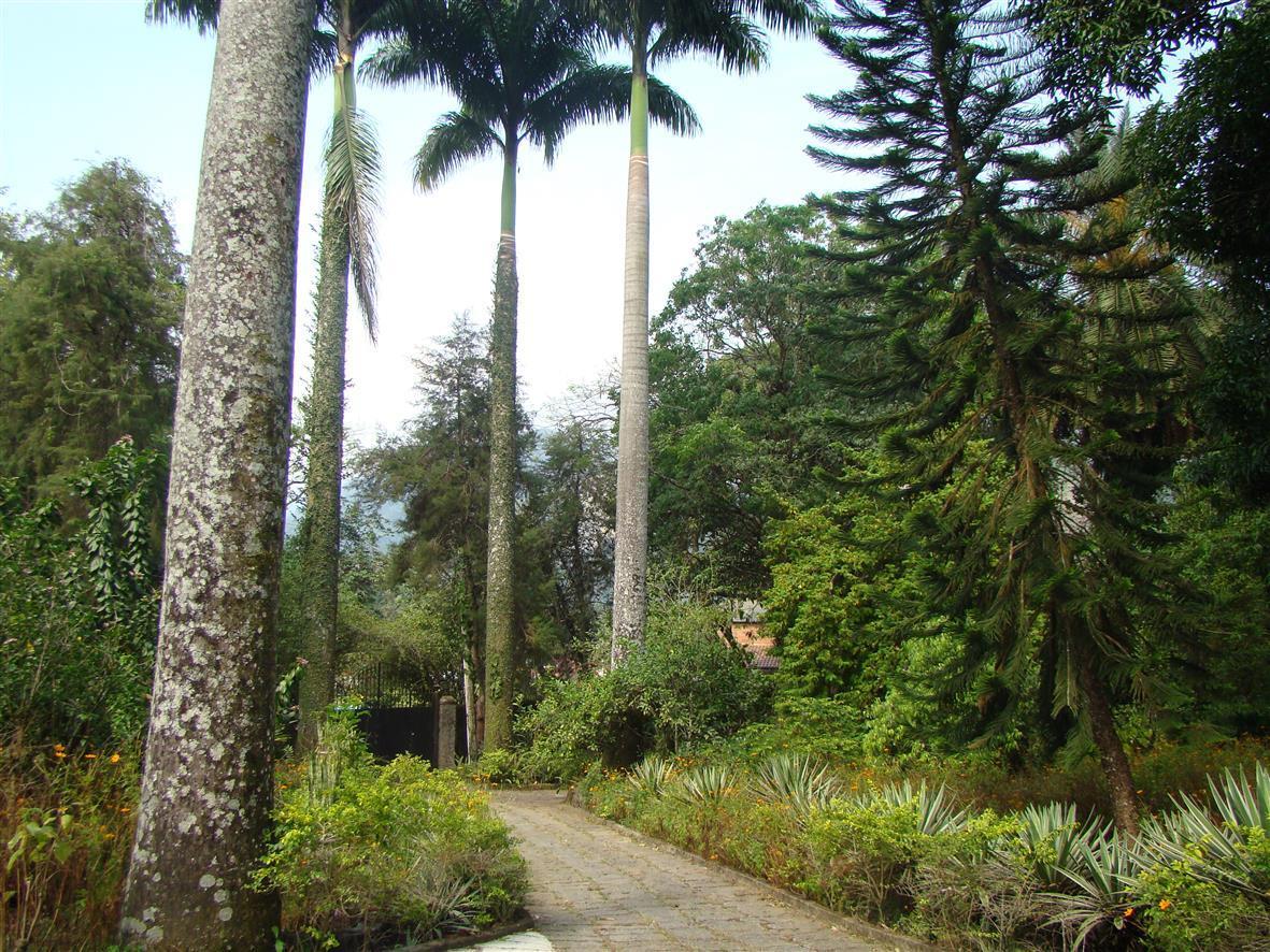 Casa De Campo Dos Sonhos Bed & Breakfast Cachoeiras de Macacu Exterior photo